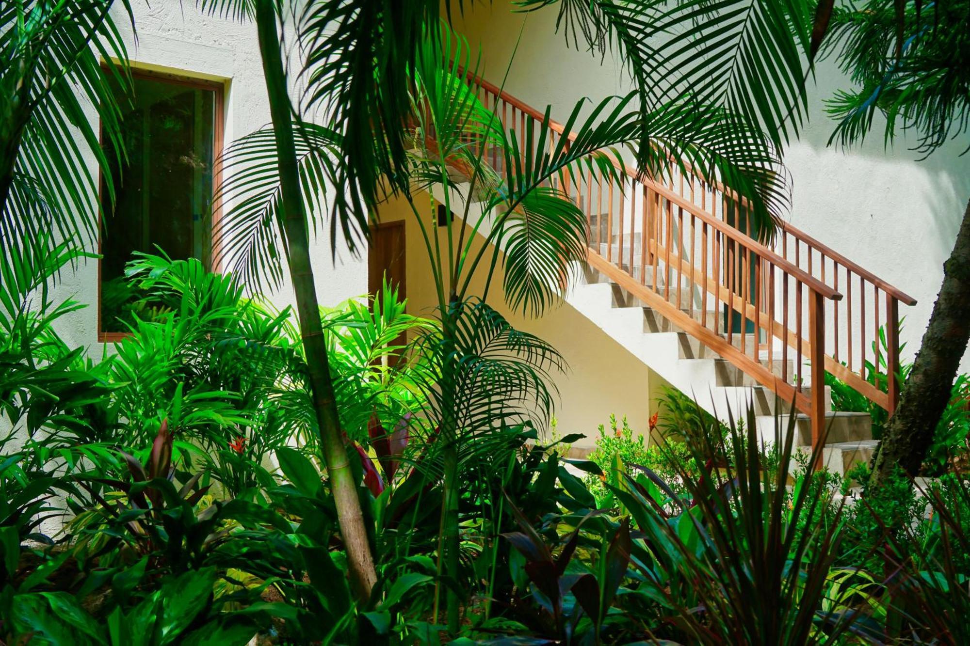 Masaya Tayrona & Beach Club Guachaca Exterior photo
